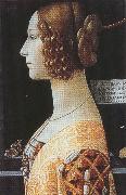 Domenico Ghirlandaio,Portrait of Giovanna Tornabuoni (mk36)